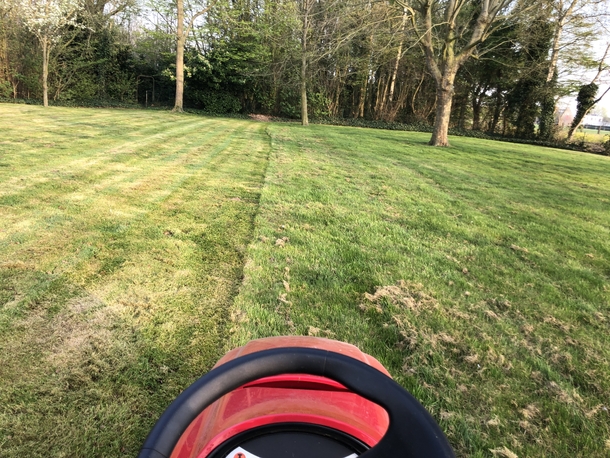 Gras maaien en wegbrengen