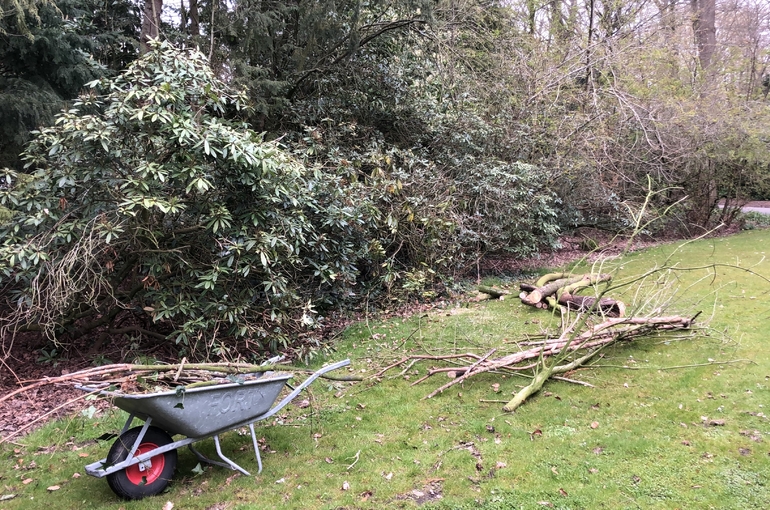 Opkuisen tuin en afvoeren groenafval 2