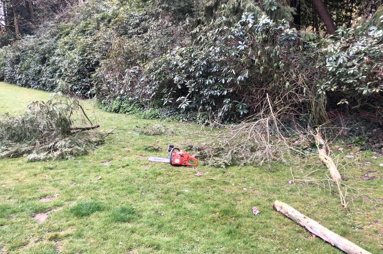 Opkuisen tuin en afvoeren groenafval 4