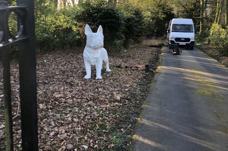 Opkuisen bladeren en wegvoeren met groenafvalcontainer 1