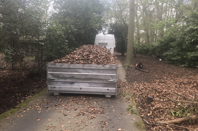 Opkuisen bladeren en wegvoeren met groenafvalcontainer 2