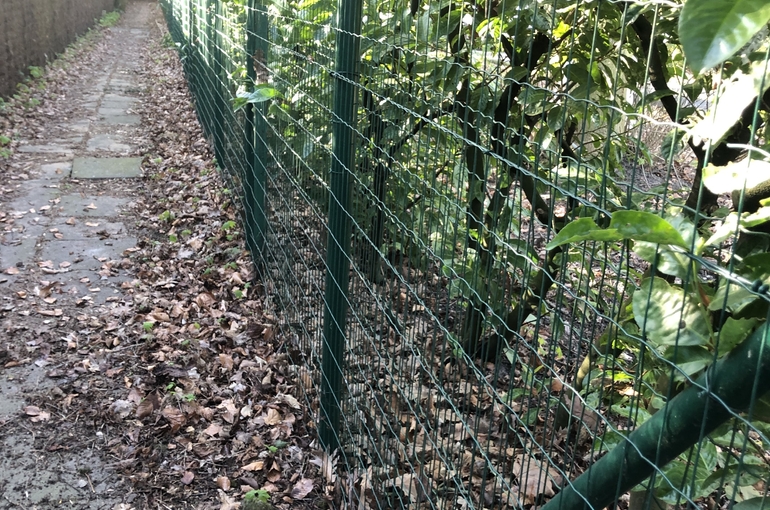 Opkuisen bladeren en wegvoeren met groenafvalcontainer 6