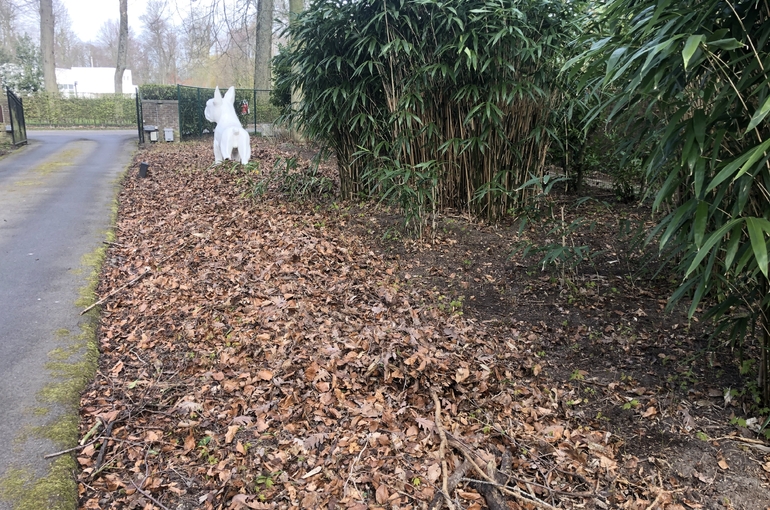 Opkuisen bladeren en wegvoeren met groenafvalcontainer 9