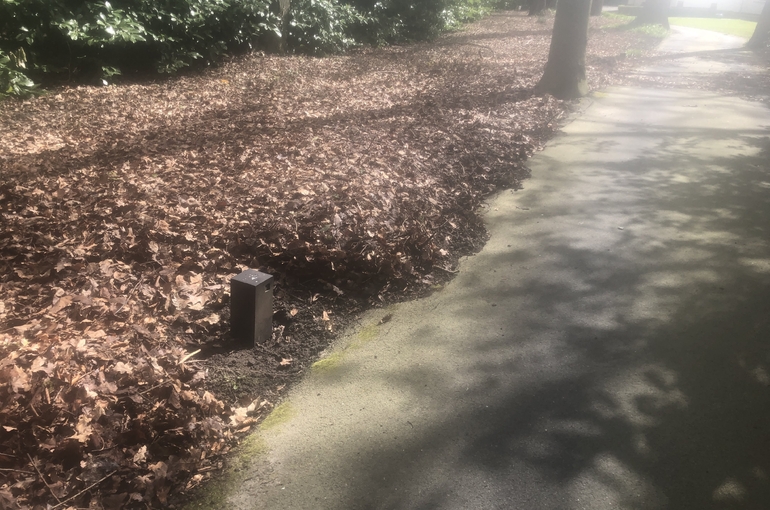 Opkuisen bladeren en wegvoeren met groenafvalcontainer 10