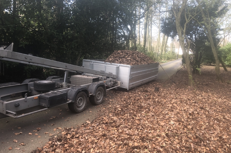 Opkuisen bladeren en wegvoeren met groenafvalcontainer 12